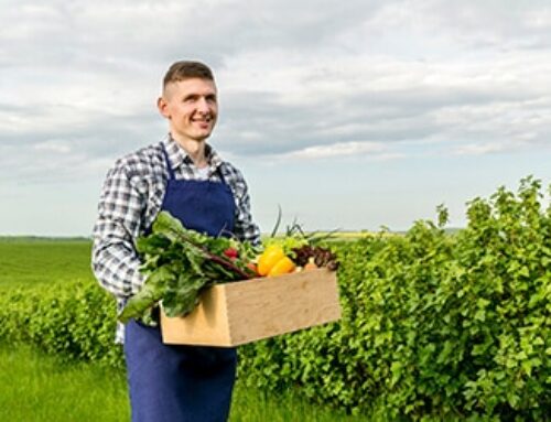 Protecting Crops With Natural  Techniques Instead Of Pesticides